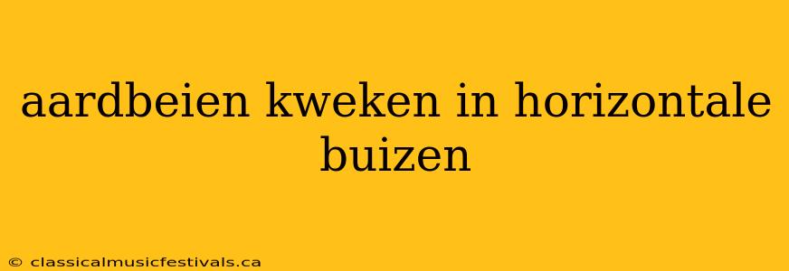 aardbeien kweken in horizontale buizen