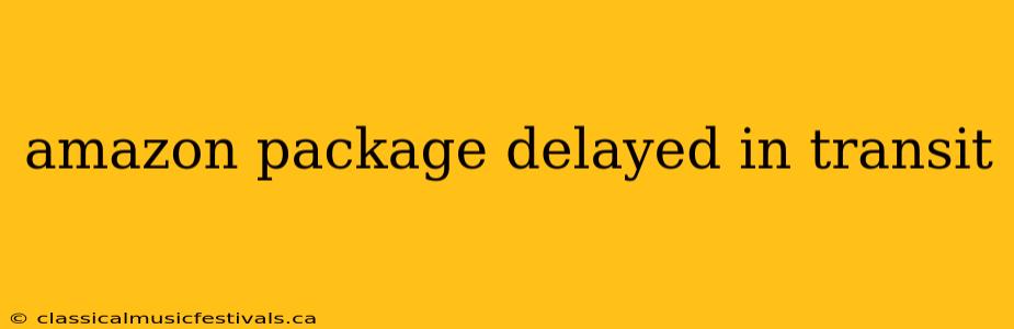 amazon package delayed in transit