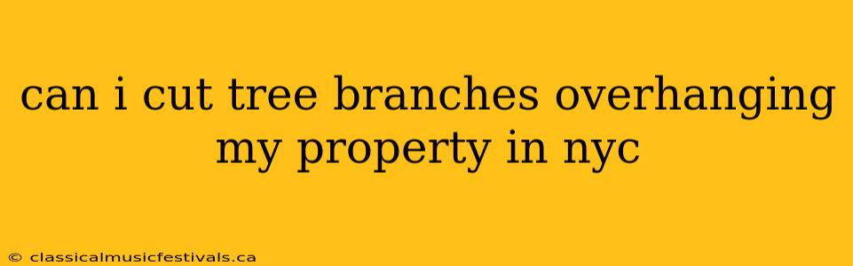 can i cut tree branches overhanging my property in nyc