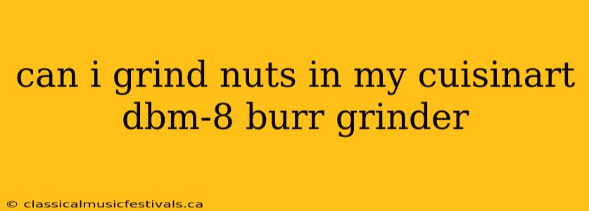 can i grind nuts in my cuisinart dbm-8 burr grinder