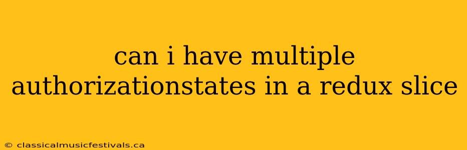 can i have multiple authorizationstates in a redux slice