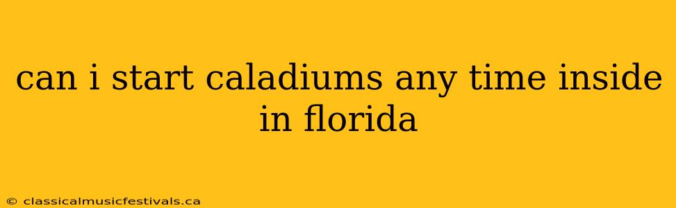 can i start caladiums any time inside in florida