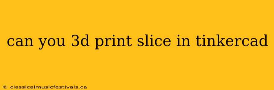 can you 3d print slice in tinkercad