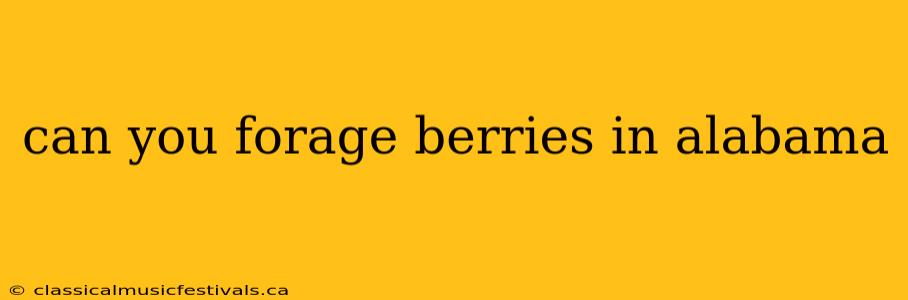 can you forage berries in alabama