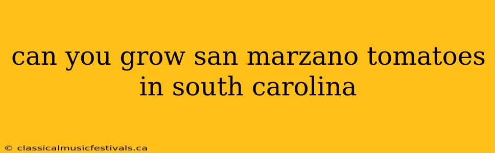 can you grow san marzano tomatoes in south carolina