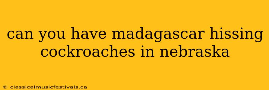 can you have madagascar hissing cockroaches in nebraska