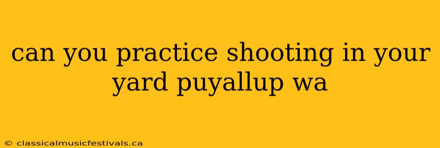 can you practice shooting in your yard puyallup wa