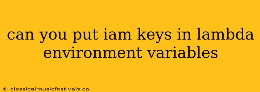 can you put iam keys in lambda environment variables