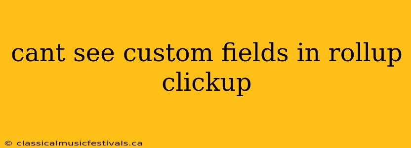 cant see custom fields in rollup clickup