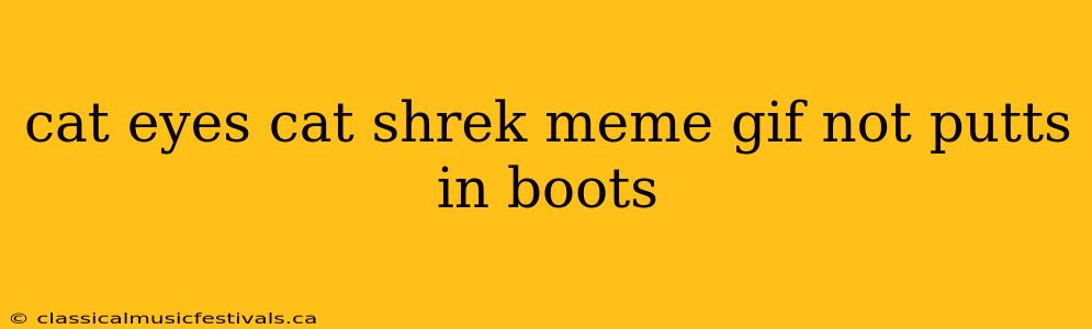 cat eyes cat shrek meme gif not putts in boots