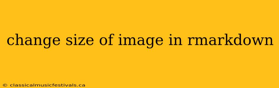 change size of image in rmarkdown