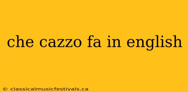 che cazzo fa in english