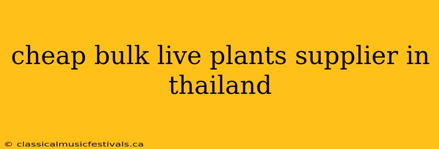 cheap bulk live plants supplier in thailand