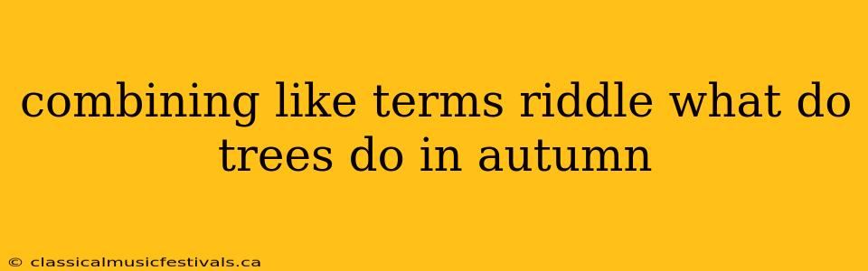 combining like terms riddle what do trees do in autumn