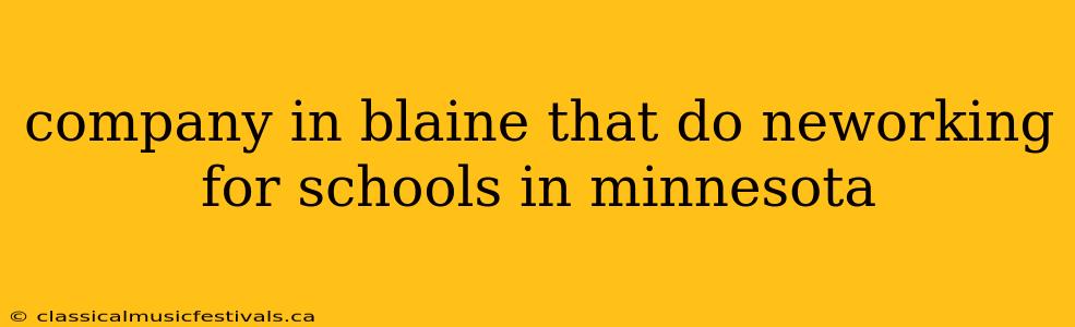 company in blaine that do neworking for schools in minnesota