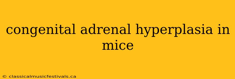 congenital adrenal hyperplasia in mice