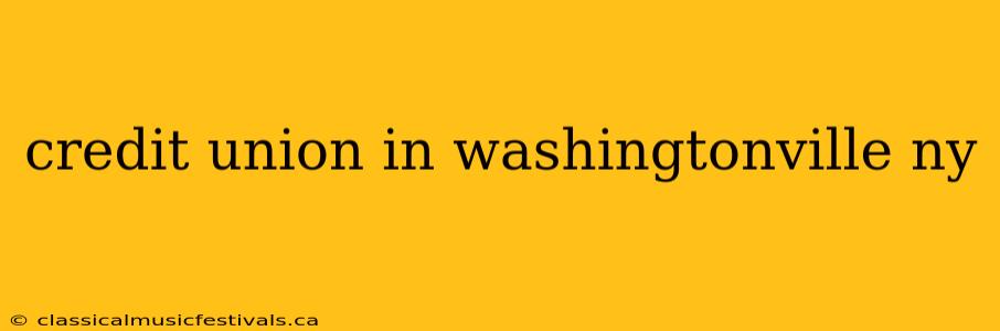 credit union in washingtonville ny