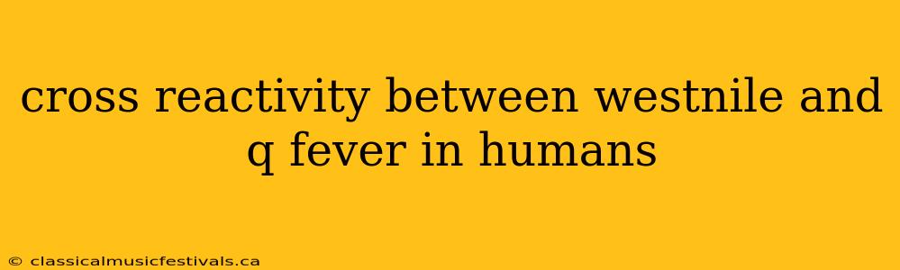 cross reactivity between westnile and q fever in humans