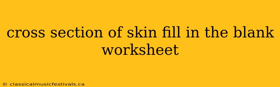 cross section of skin fill in the blank worksheet