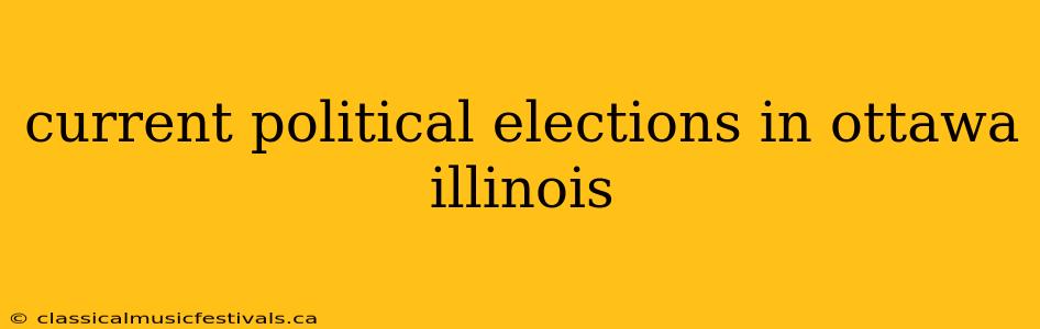 current political elections in ottawa illinois