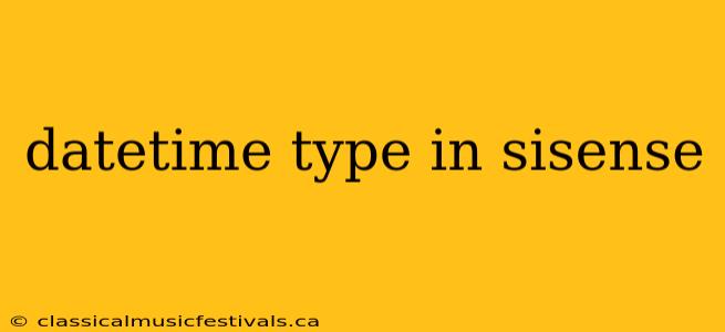 datetime type in sisense