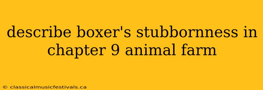 describe boxer's stubbornness in chapter 9 animal farm