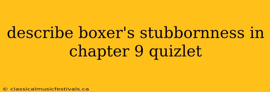 describe boxer's stubbornness in chapter 9 quizlet