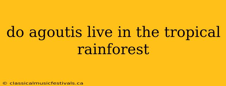 do agoutis live in the tropical rainforest