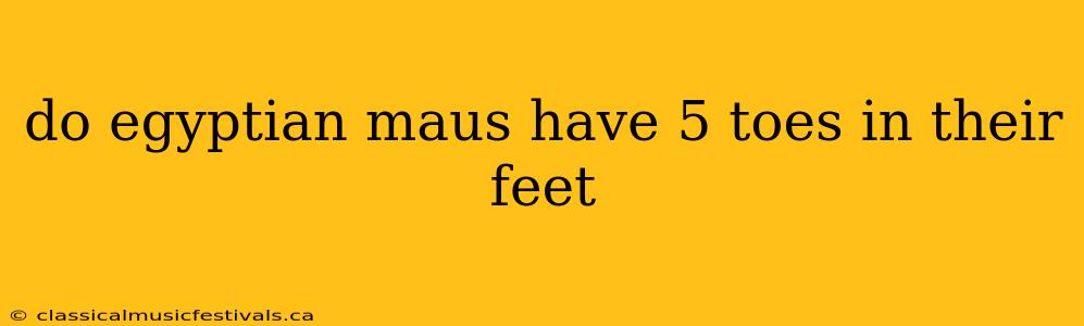 do egyptian maus have 5 toes in their feet