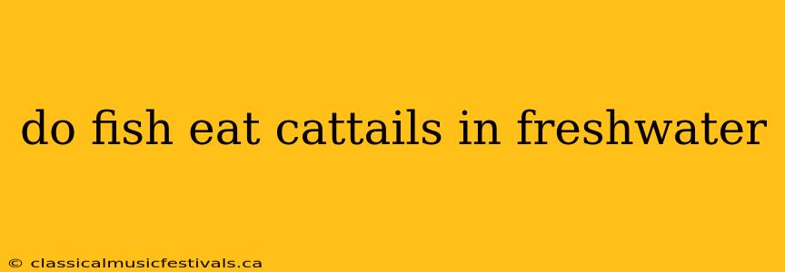 do fish eat cattails in freshwater