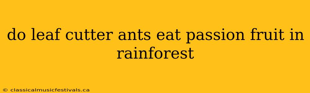 do leaf cutter ants eat passion fruit in rainforest