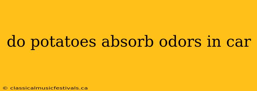 do potatoes absorb odors in car