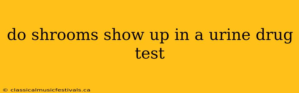 do shrooms show up in a urine drug test