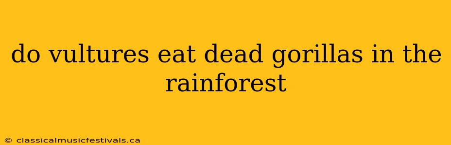 do vultures eat dead gorillas in the rainforest