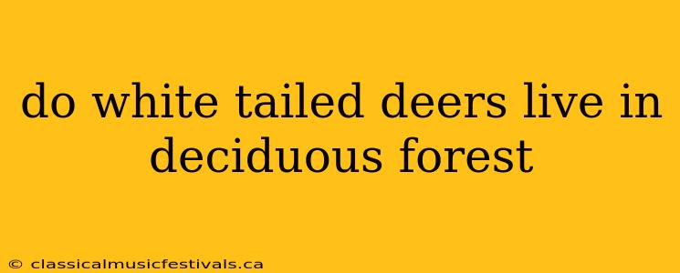 do white tailed deers live in deciduous forest