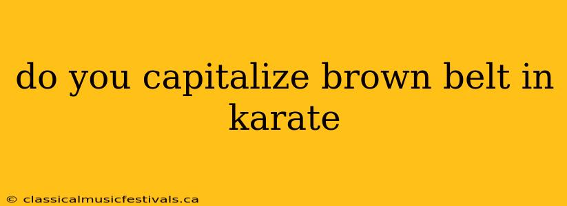 do you capitalize brown belt in karate