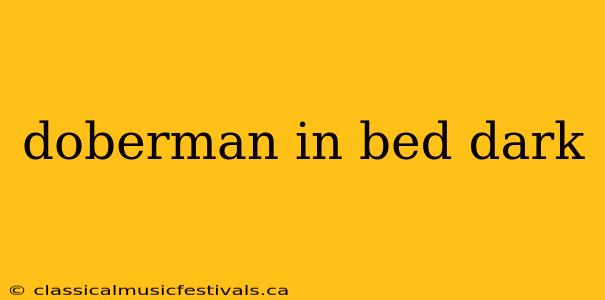 doberman in bed dark