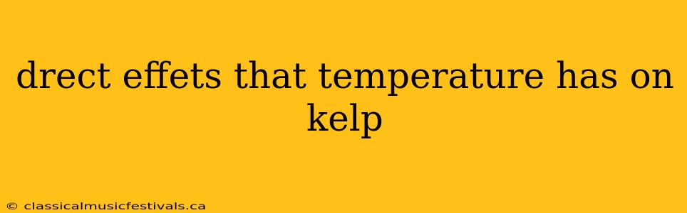 drect effets that temperature has on kelp