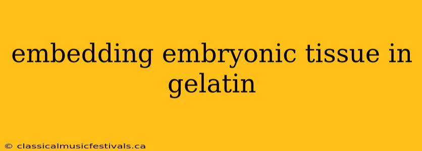 embedding embryonic tissue in gelatin