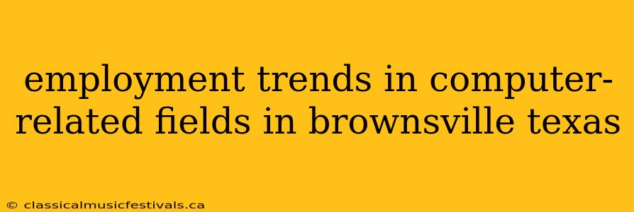 employment trends in computer-related fields in brownsville texas