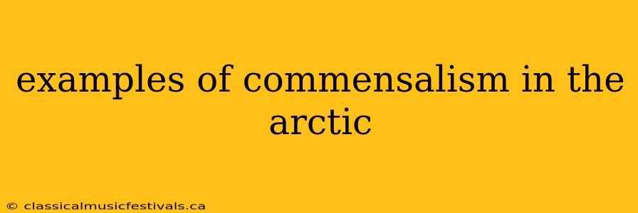 examples of commensalism in the arctic