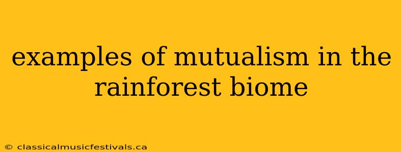 examples of mutualism in the rainforest biome