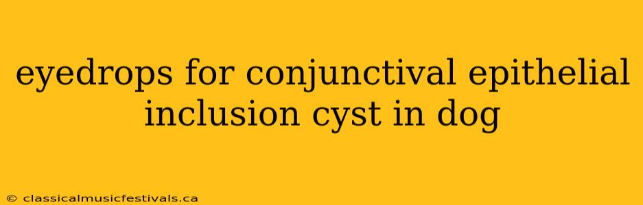 eyedrops for conjunctival epithelial inclusion cyst in dog