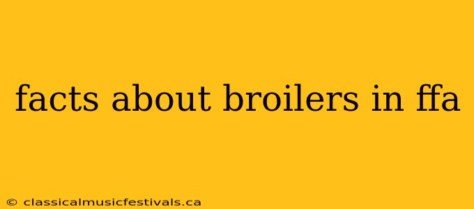 facts about broilers in ffa