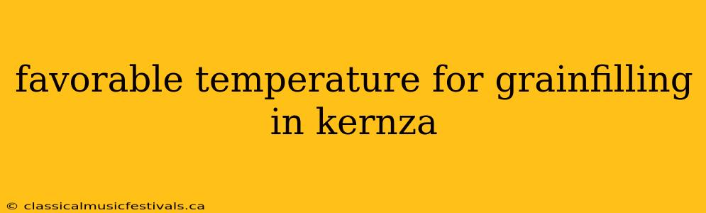 favorable temperature for grainfilling in kernza