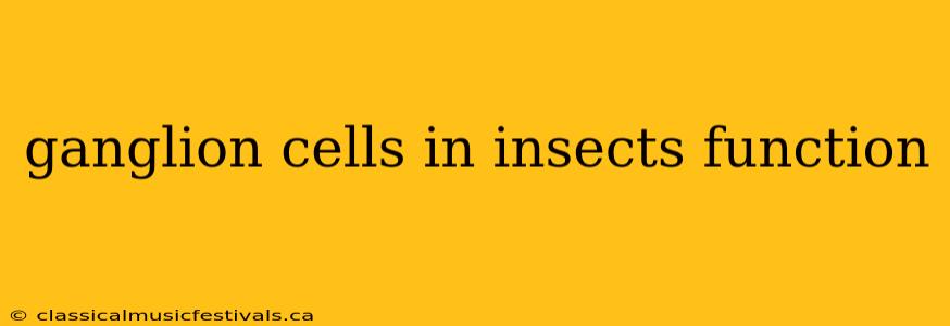 ganglion cells in insects function