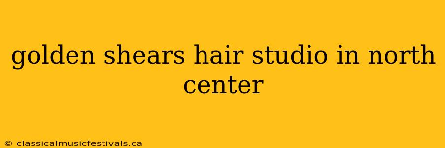 golden shears hair studio in north center