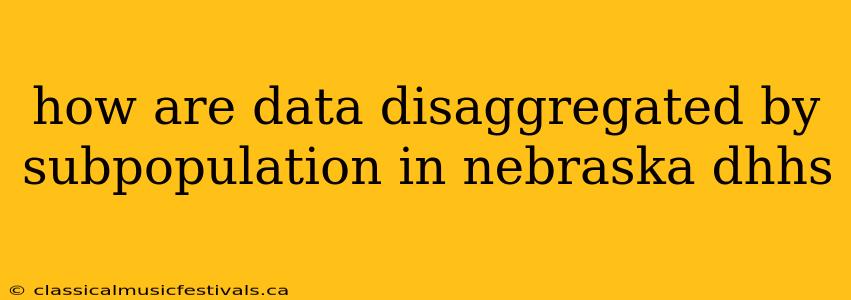 how are data disaggregated by subpopulation in nebraska dhhs