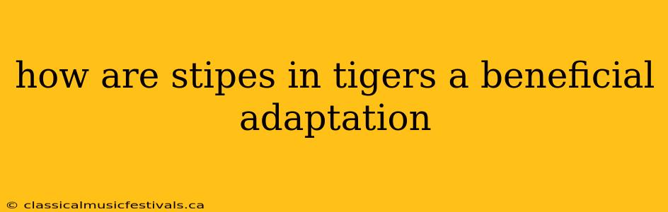 how are stipes in tigers a beneficial adaptation