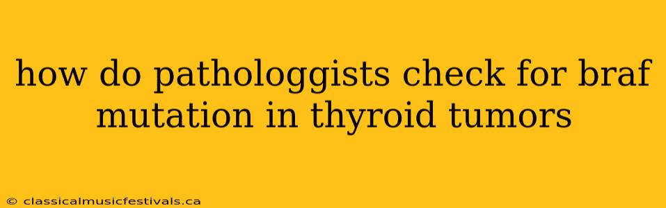 how do pathologgists check for braf mutation in thyroid tumors